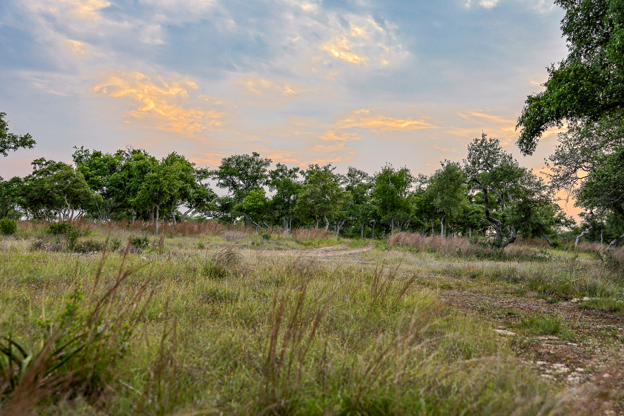 205 Mount Gainor Road Dripping Springs, TX 78620 - Photo 29 of 29