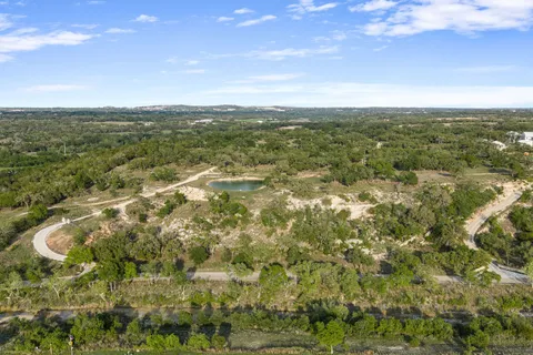 a view of a forest with a tree