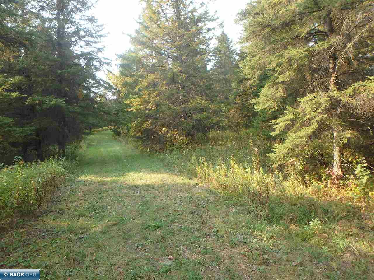 10705 Highway 65 Orr, MN 55771 - Photo 43 of 45