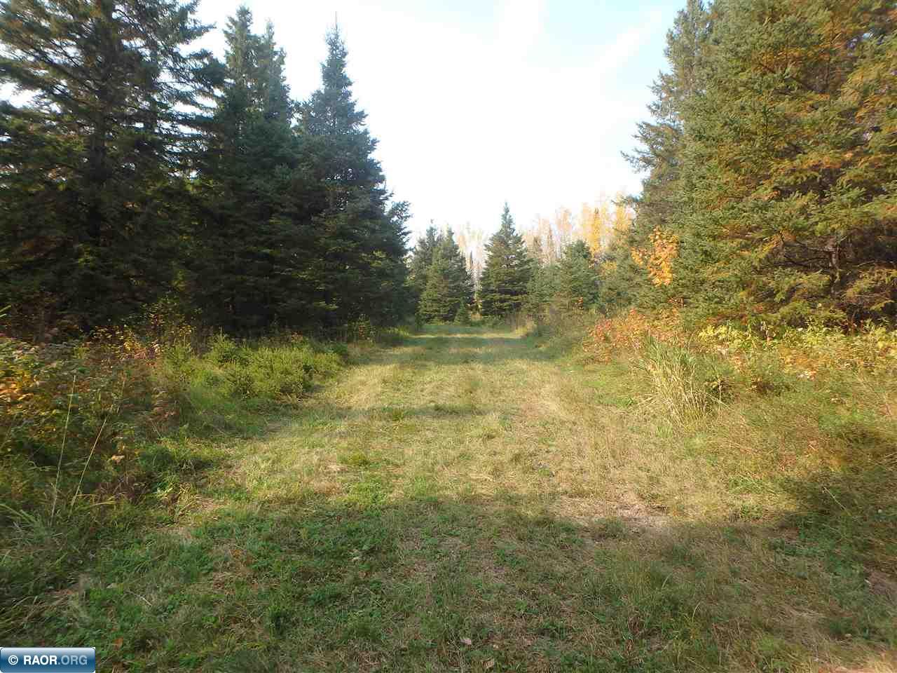 10705 Highway 65 Orr, MN 55771 - Photo 44 of 45