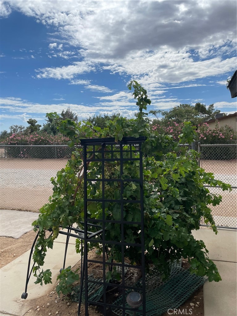 14961 Walnut Street Hesperia, CA 92345 - Photo 23 of 25 a view of lake with a yard