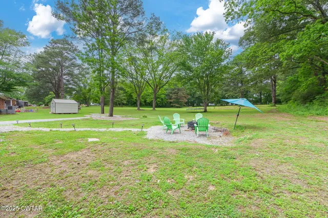 a view of a park with large trees