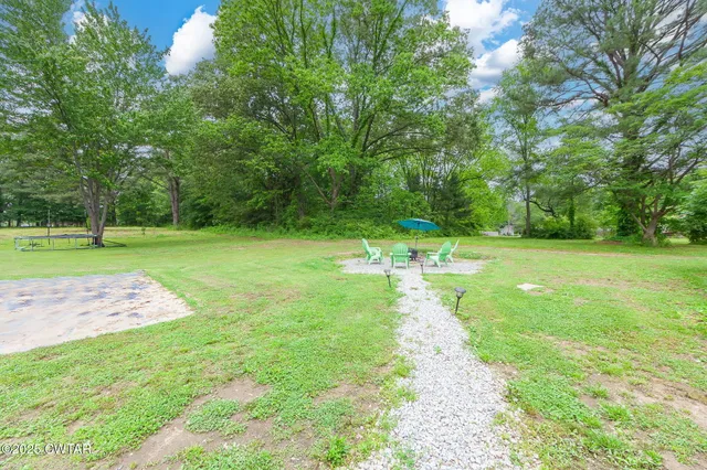 a view of a park with large trees