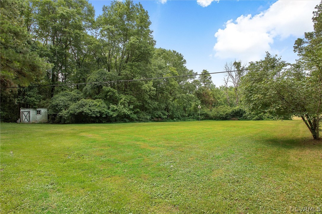19384 Beaver Dam Road Beaverdam, VA 23015 - Photo 33 of 35 Back yard