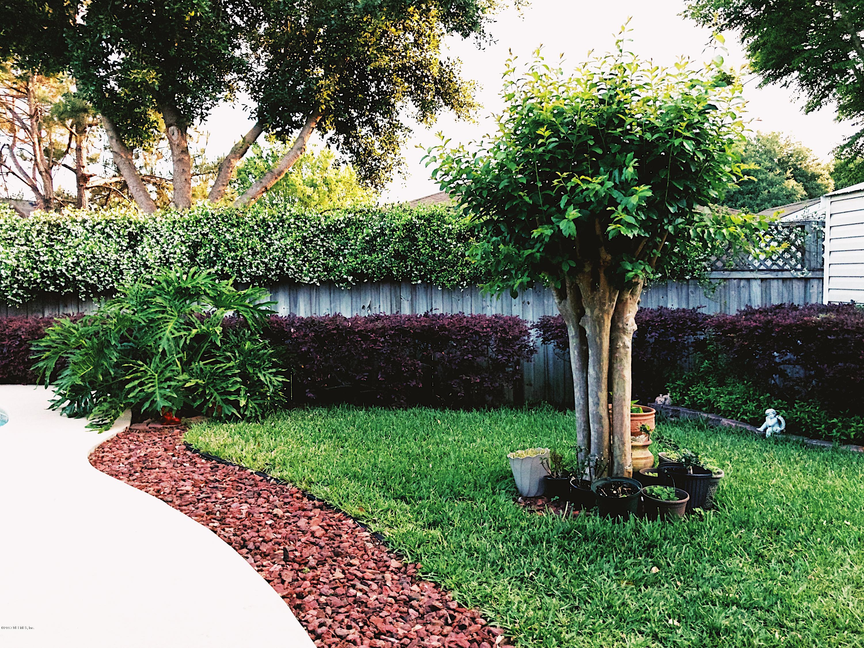 10140 Rising Mist Lane Jacksonville, FL 32221 - Photo 33 of 44 Back yard