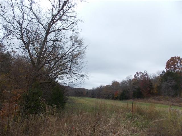 0 Opossum Branch Road Linden, TN 37096 - Photo 11 of 18 Gallery Image 11