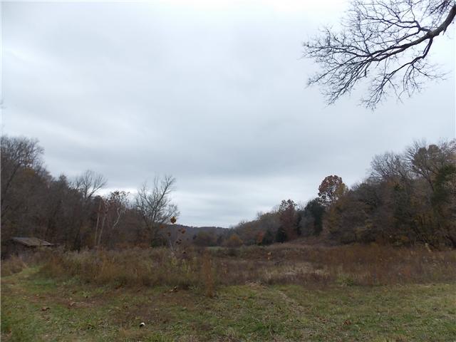 0 Opossum Branch Road Linden, TN 37096 - Photo 12 of 18 Gallery Image 12