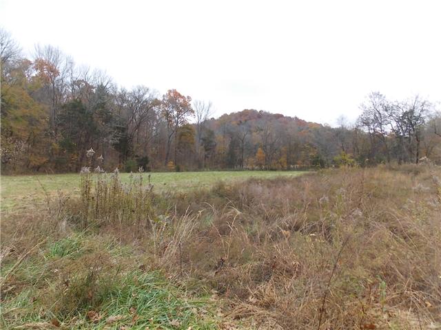 0 Opossum Branch Road Linden, TN 37096 - Photo 13 of 18 Gallery Image 13