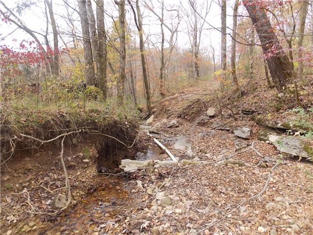 0 Opossum Branch Road Linden, TN 37096 - Photo 14 of 18 Gallery Image 14