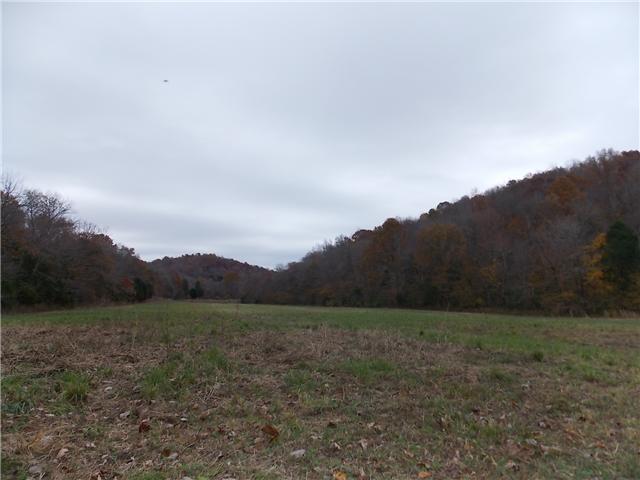 0 Opossum Branch Road Linden, TN 37096 - Photo 15 of 18 Gallery Image 15