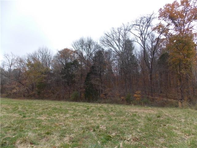 0 Opossum Branch Road Linden, TN 37096 - Photo 16 of 18 Gallery Image 16