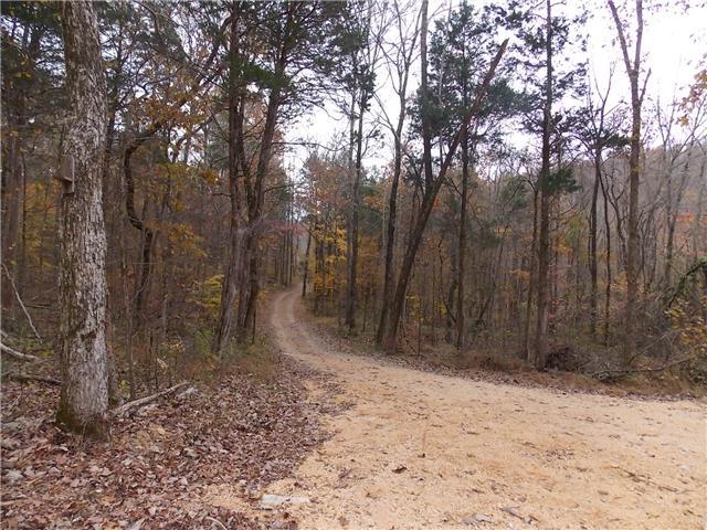 0 Opossum Branch Road Linden, TN 37096 - Photo 17 of 18 Gallery Image 17
