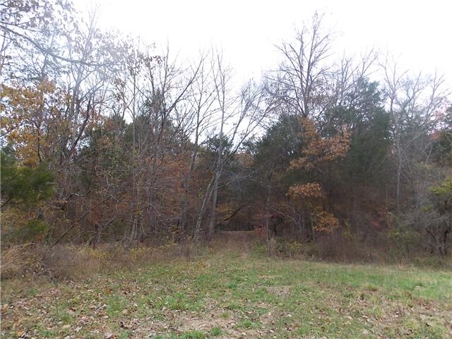 0 Opossum Branch Road Linden, TN 37096 - Photo 18 of 18 Gallery Image 18