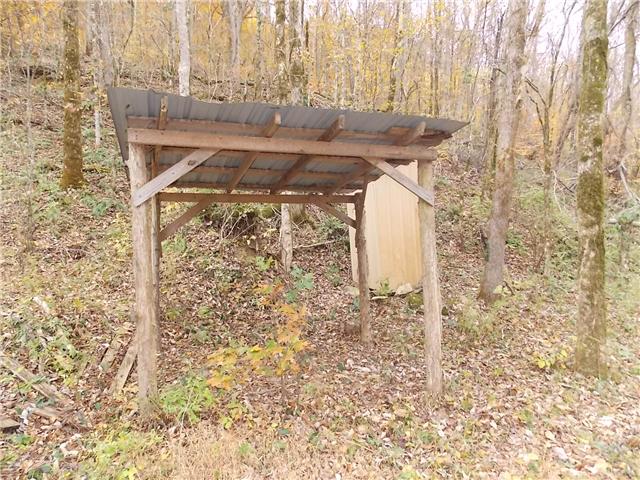 0 Opossum Branch Road Linden, TN 37096 - Photo 4 of 18 Gallery Image 4