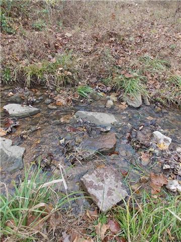 0 Opossum Branch Road Linden, TN 37096 - Photo 5 of 18 Gallery Image 5