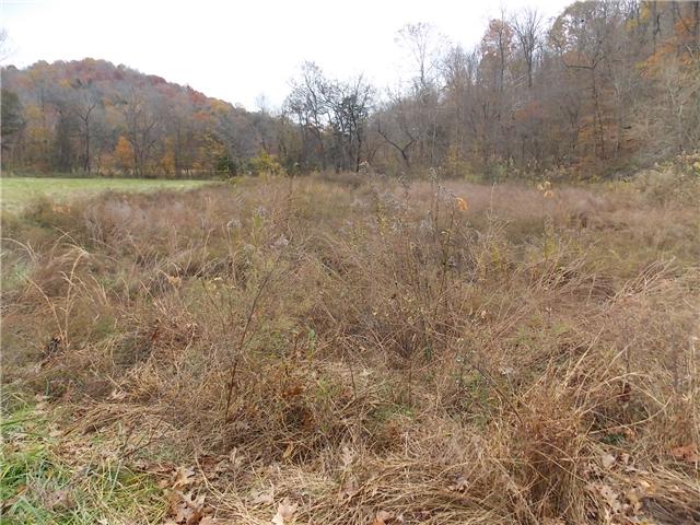 0 Opossum Branch Road Linden, TN 37096 - Photo 6 of 18 Gallery Image 6