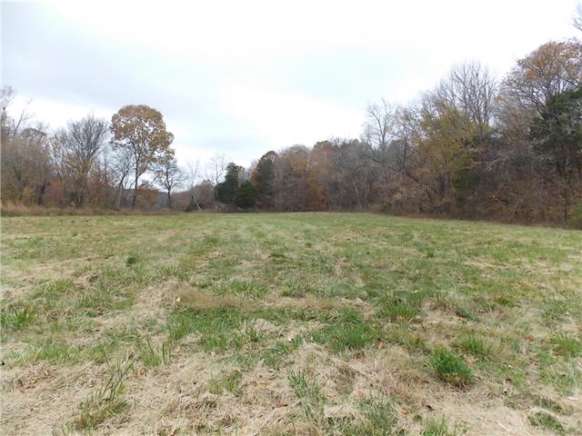 0 Opossum Branch Road Linden, TN 37096 - Photo 7 of 18 Gallery Image 7