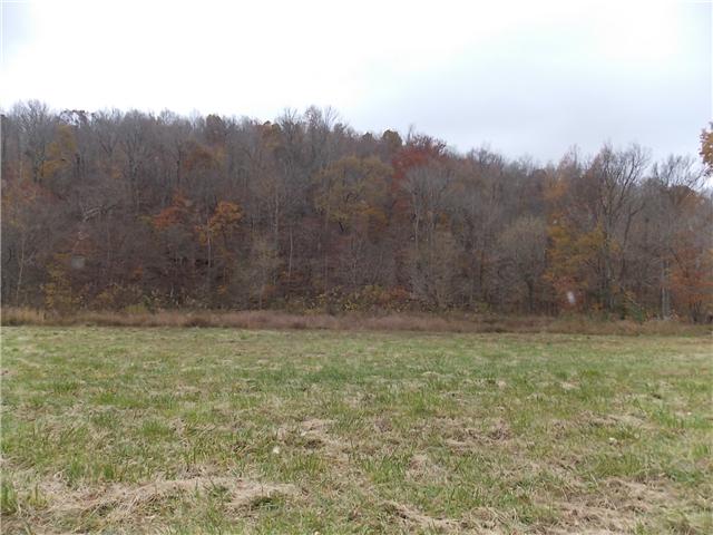 0 Opossum Branch Road Linden, TN 37096 - Photo 8 of 18 Gallery Image 8
