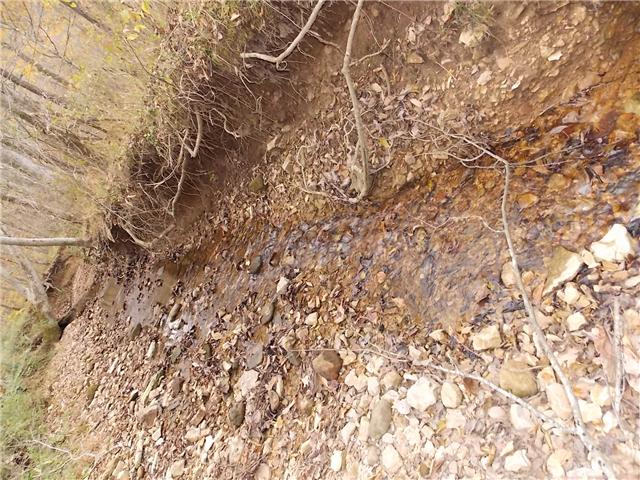 0 Opossum Branch Road Linden, TN 37096 - Photo 9 of 18 Gallery Image 9