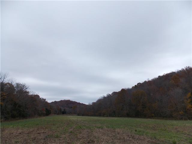 0 Opossum Branch Road Linden, TN 37096 - Photo 10 of 18 Gallery Image 10