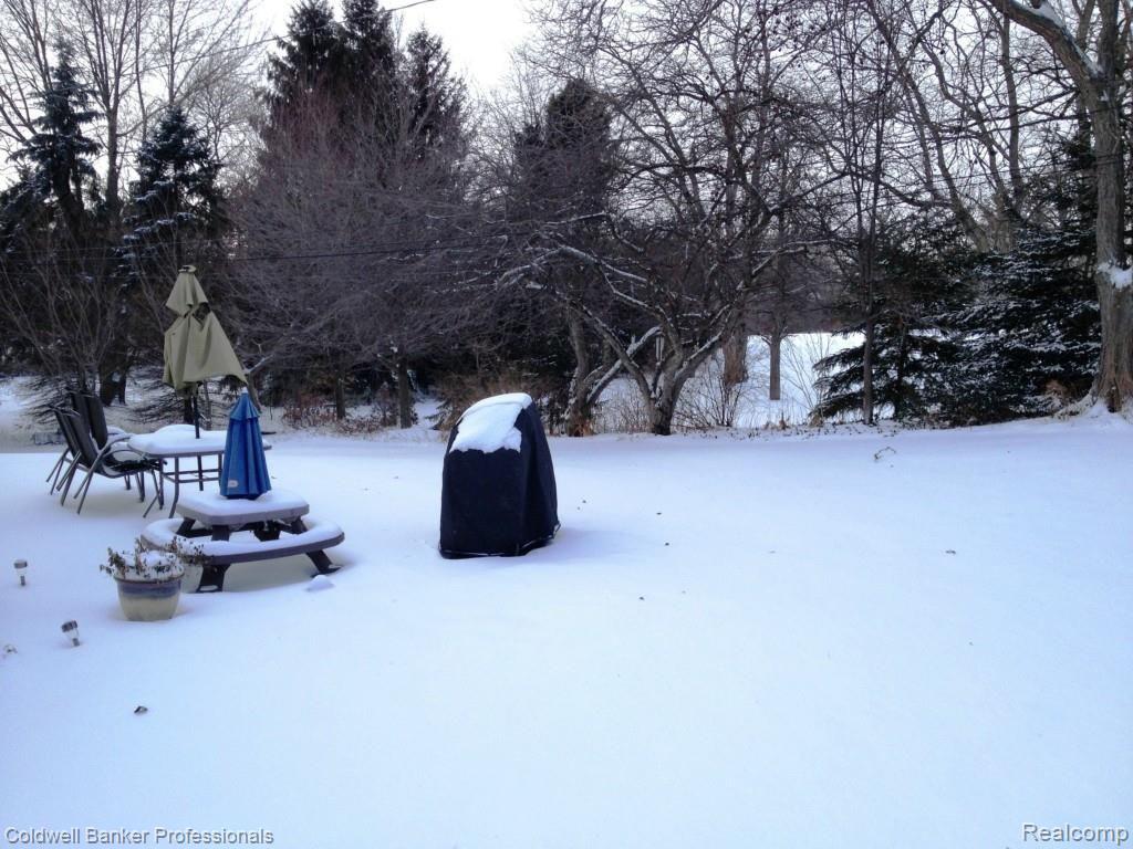 21107 Stanstead Road Northville, MI 48167 - Photo 7 of 27 Privacy - HR.jpg