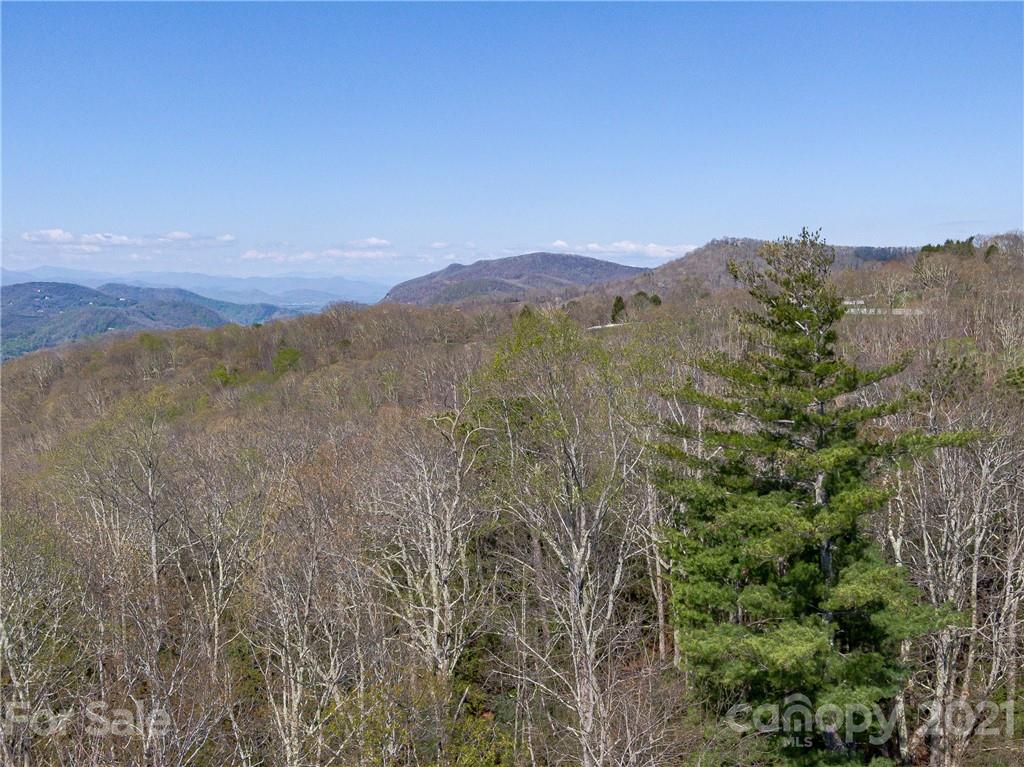 1 Flat Top Mountain Road Fairview, NC 28730 - Photo 15 of 28 Gallery Image 15
