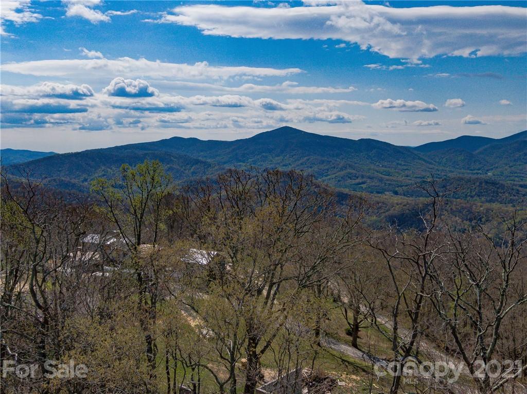 1 Flat Top Mountain Road Fairview, NC 28730 - Photo 16 of 28 Gallery Image 16