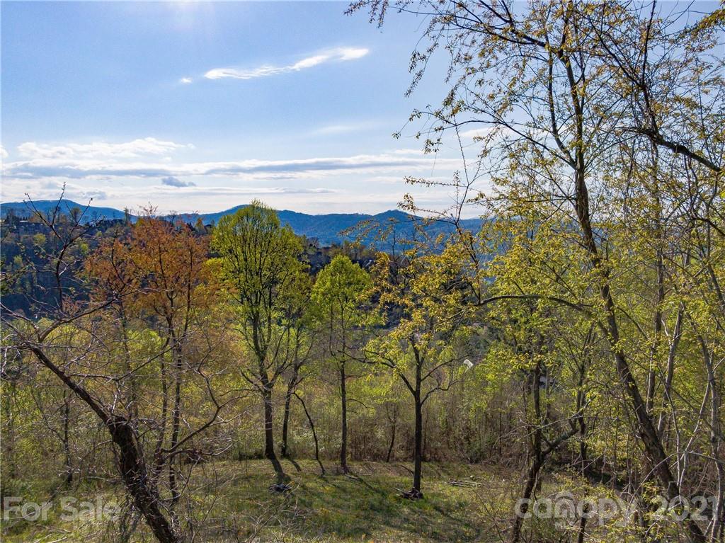 1 Flat Top Mountain Road Fairview, NC 28730 - Photo 18 of 28 Gallery Image 18