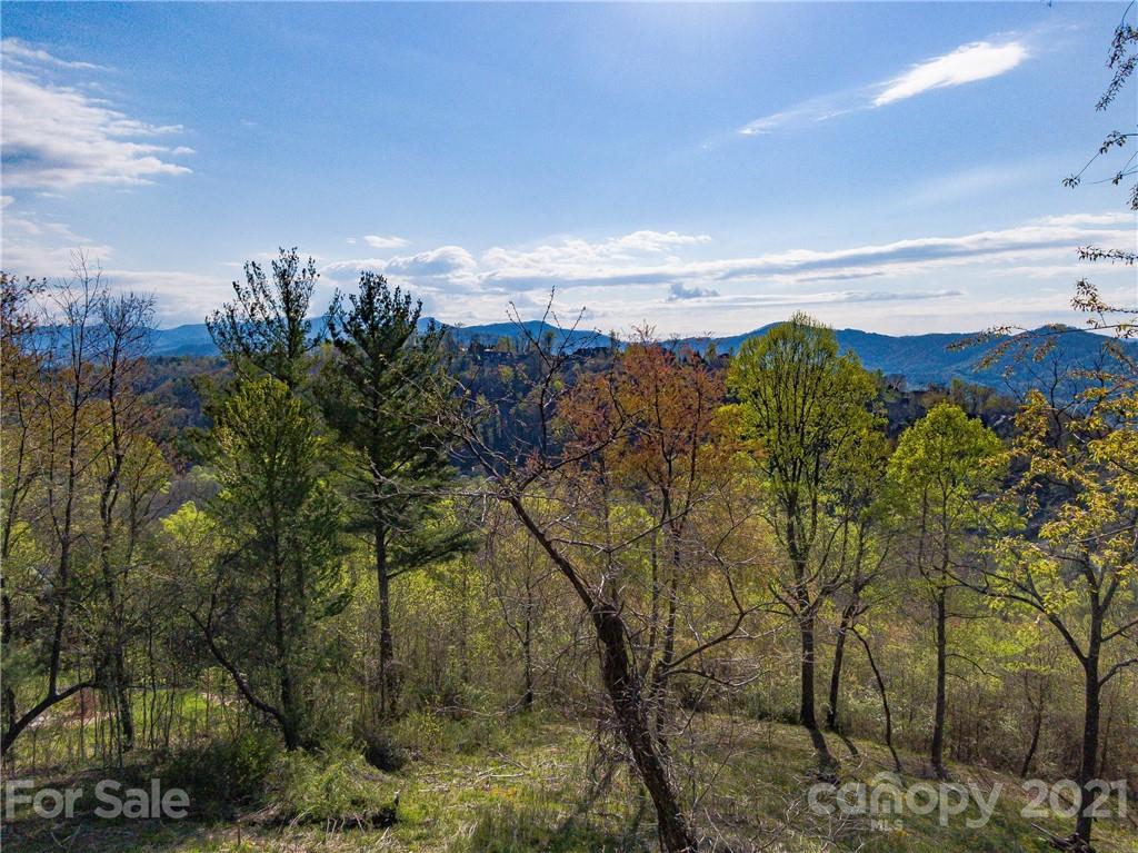 1 Flat Top Mountain Road Fairview, NC 28730 - Photo 20 of 28 Gallery Image 20