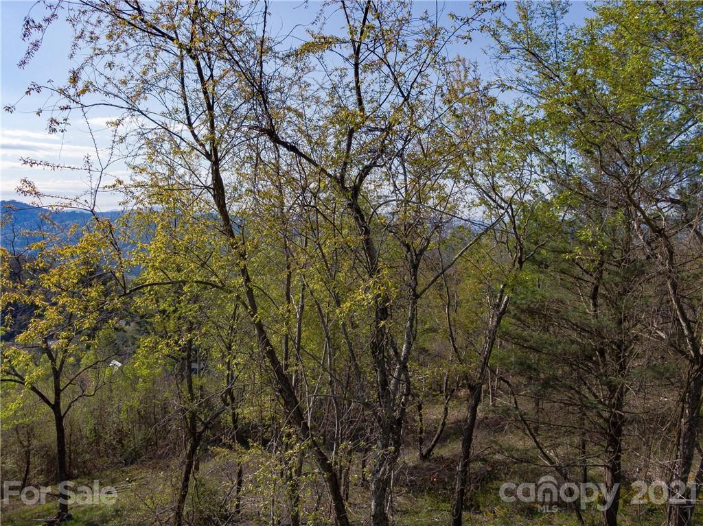 1 Flat Top Mountain Road Fairview, NC 28730 - Photo 25 of 28 Gallery Image 25
