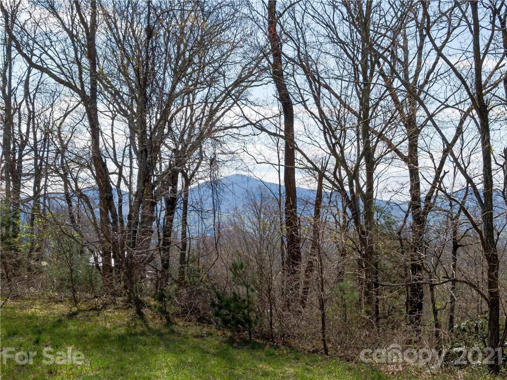 1 Flat Top Mountain Road Fairview, NC 28730 - Photo 28 of 28 Gallery Image 28