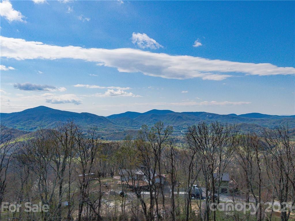 1 Flat Top Mountain Road Fairview, NC 28730 - Photo 8 of 28 Gallery Image 8