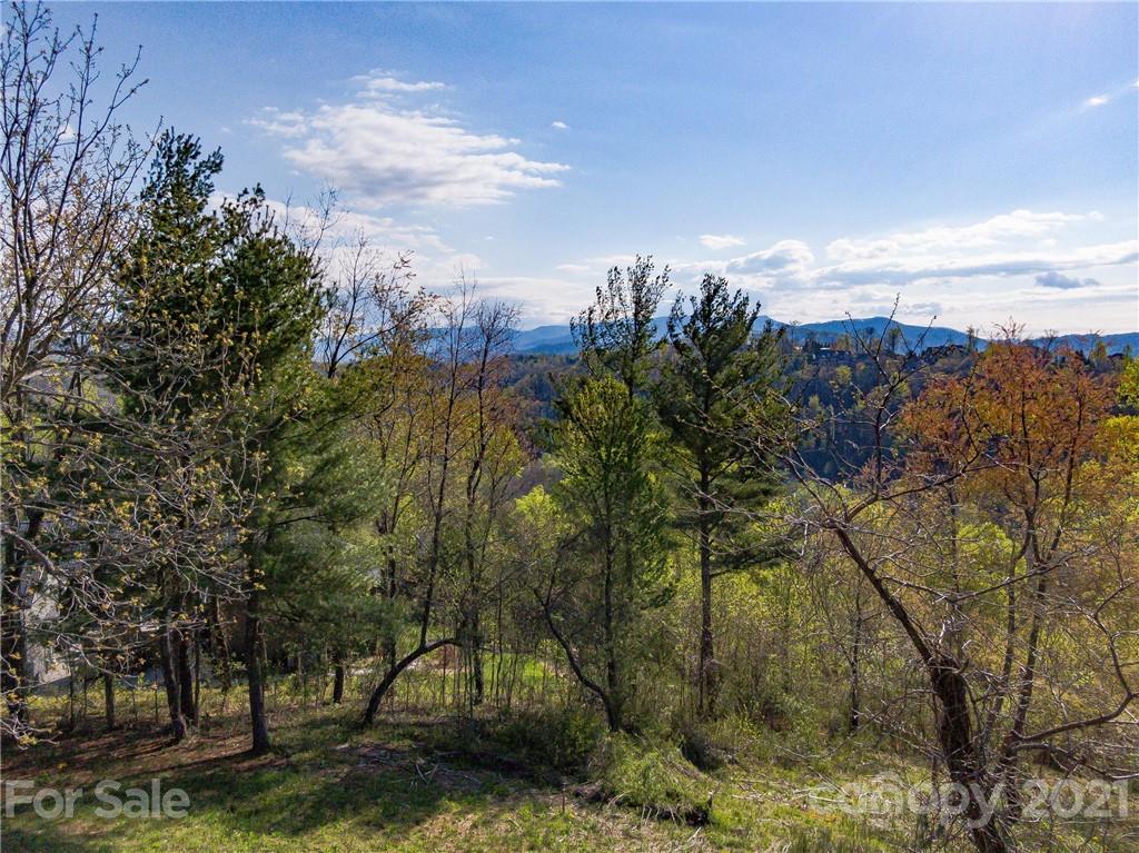 1 Flat Top Mountain Road Fairview, NC 28730 - Photo 9 of 28 Gallery Image 9