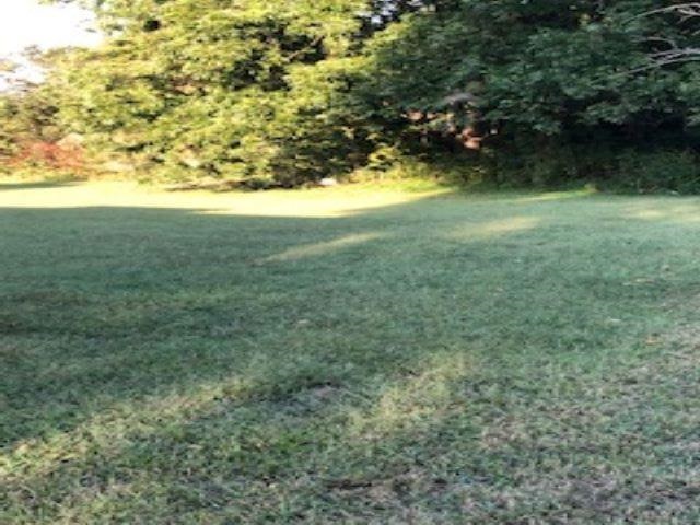 8252 Quito Road Millington, TN 38053 - Photo 3 of 9 Gallery Image 3