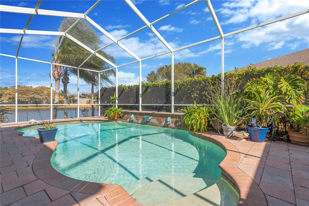 19015 Fern Meadow Loop Lutz, FL 33558 - Photo 2 of 50 a view of a backyard