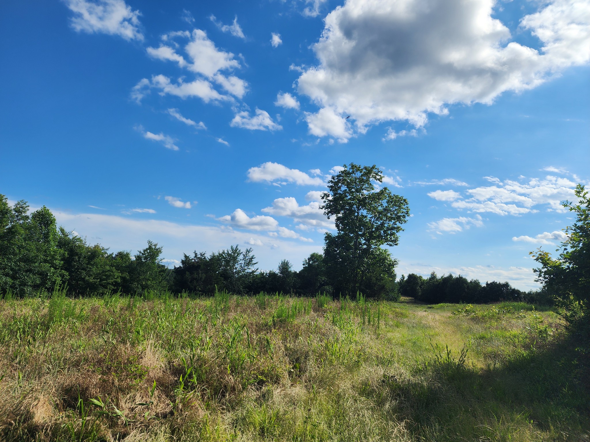 0 Sinking Creek Road Linden, TN 37096 - Photo 17 of 23