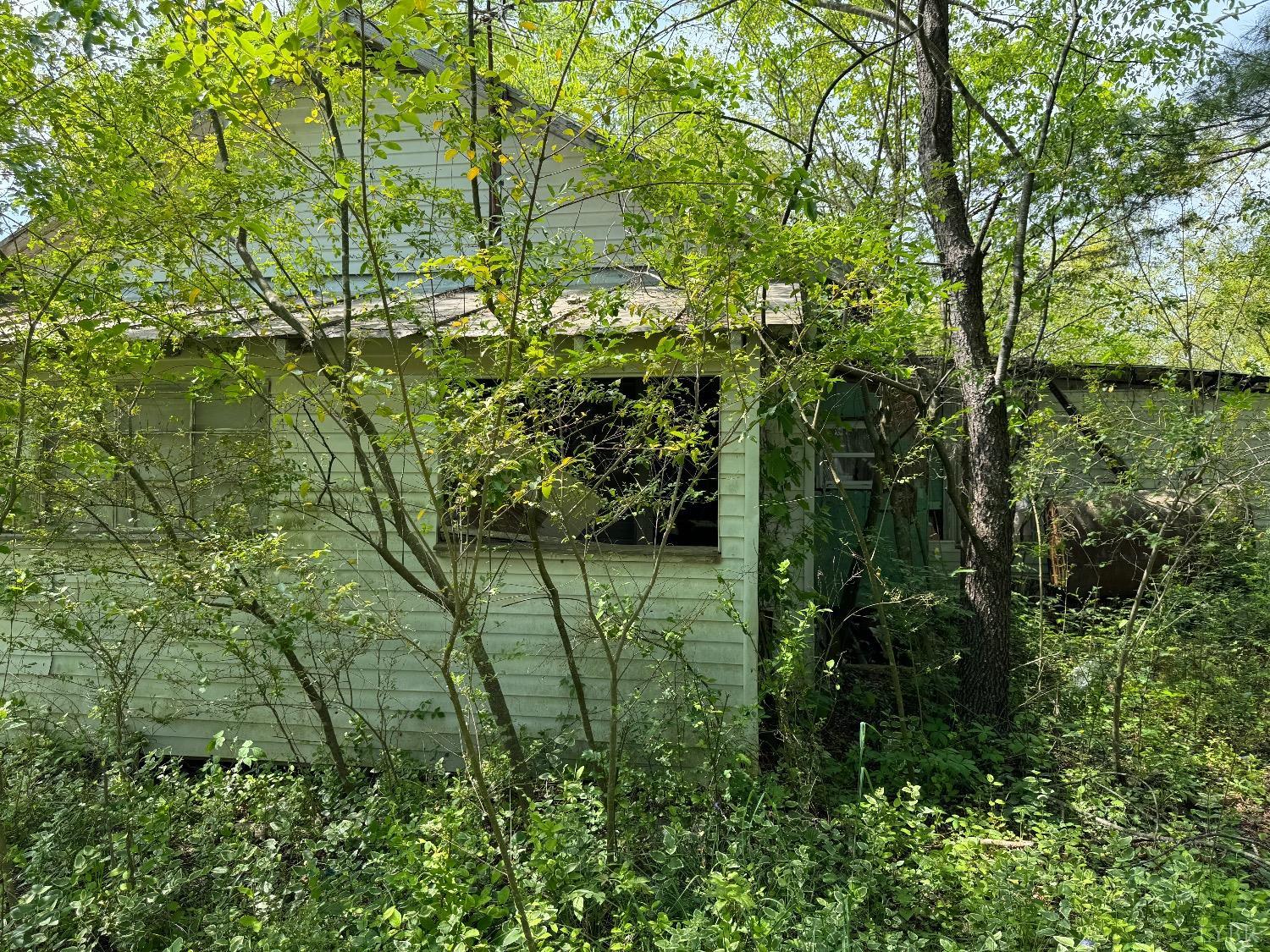 8880 Dickerson Mill Road Moneta, VA 24121 - Photo 5 of 6 Gallery Image 5