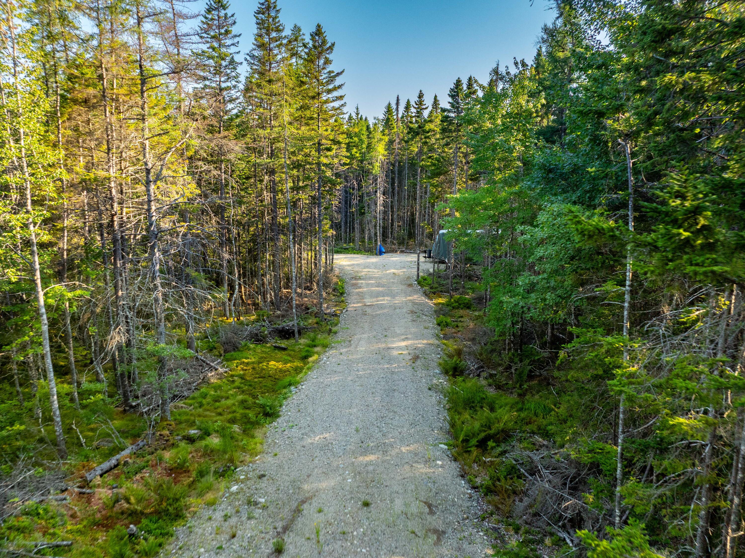 0 Duck Cove Road Roque Bluffs, ME 04654 - Photo 6 of 19 6