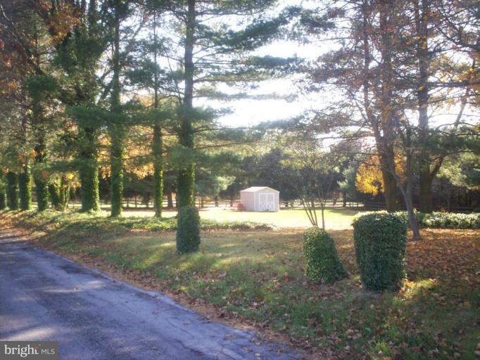 15727 Spade Road Hagerstown, MD 21740 - Photo 4 of 6 Wooded View / Acreage