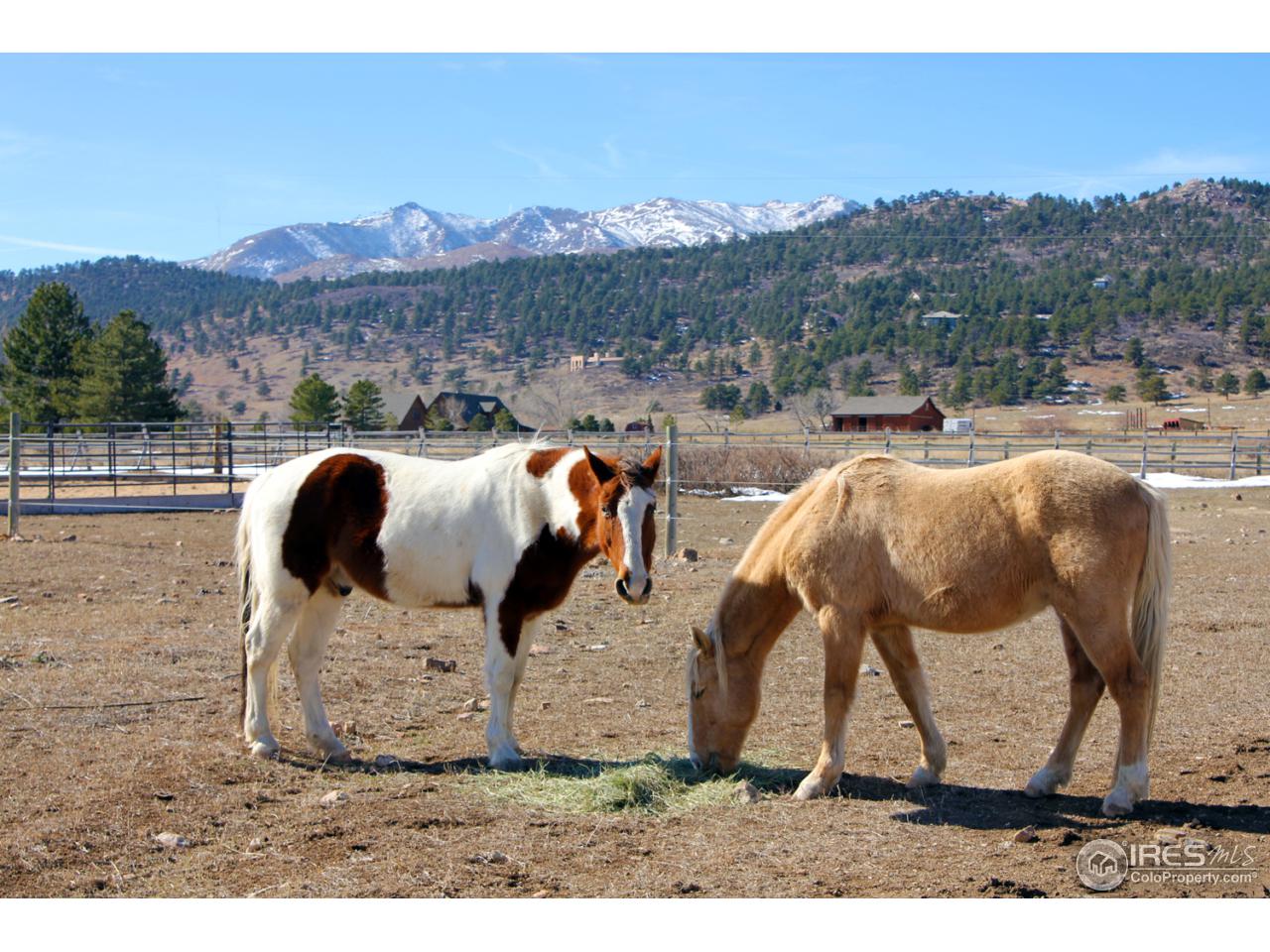 3167 Nelson Road Longmont, CO 80503 - Photo 21 of 25 Horse Facilities