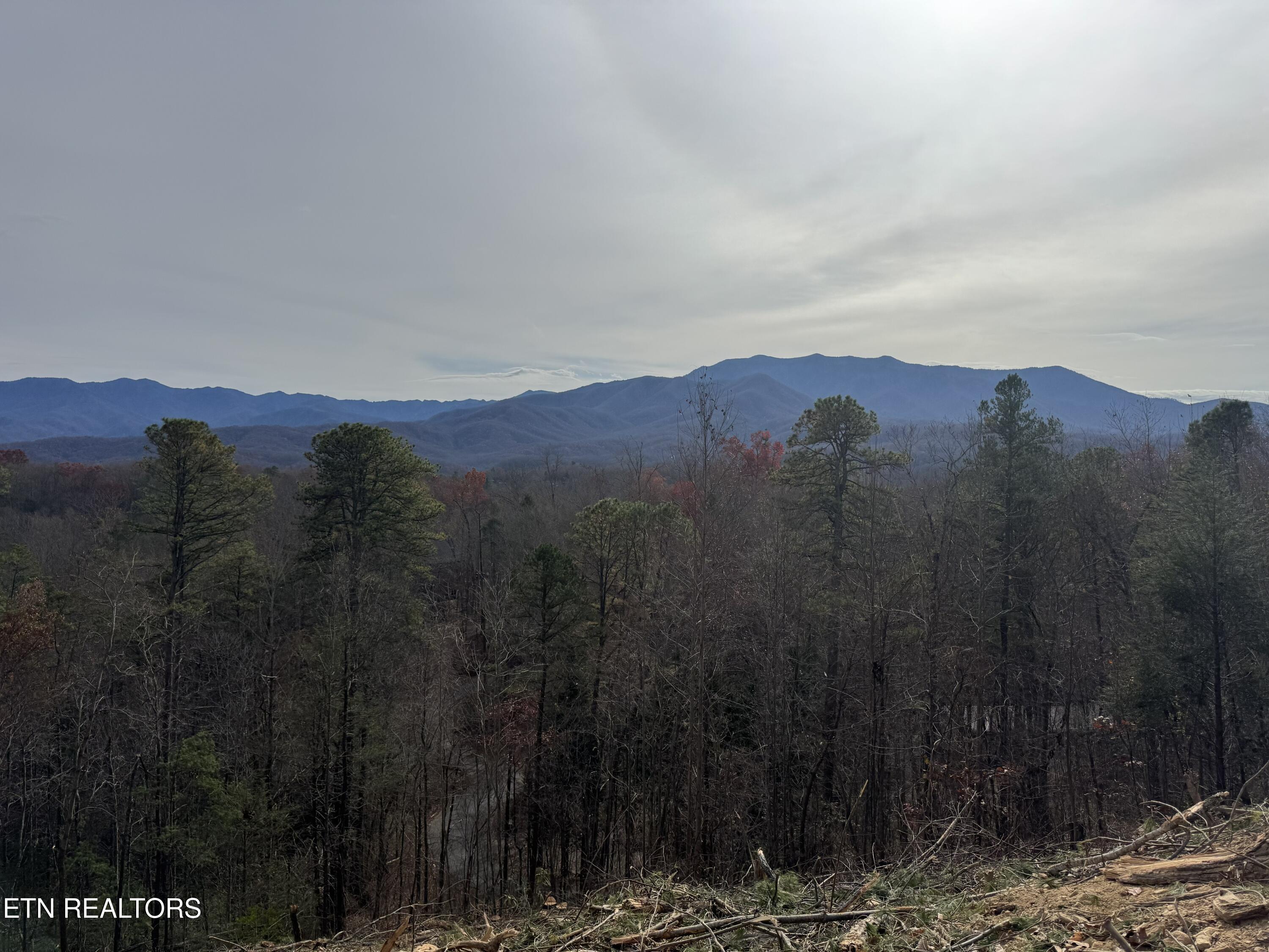 Lot 4 Powdermill Road Gatlinburg, TN 37738 - Photo 2 of 12 IMG_20251119_111936 (1)
