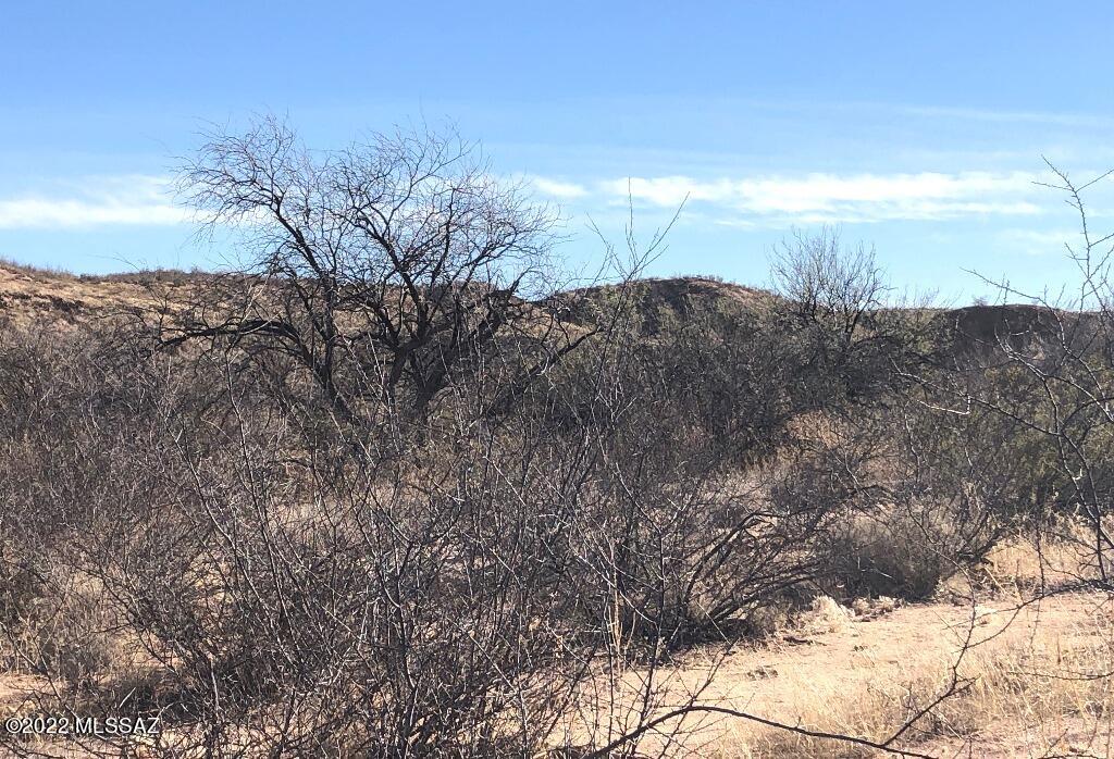 0 West Sullivan Road St. David, AZ 85630 - Photo 11 of 16