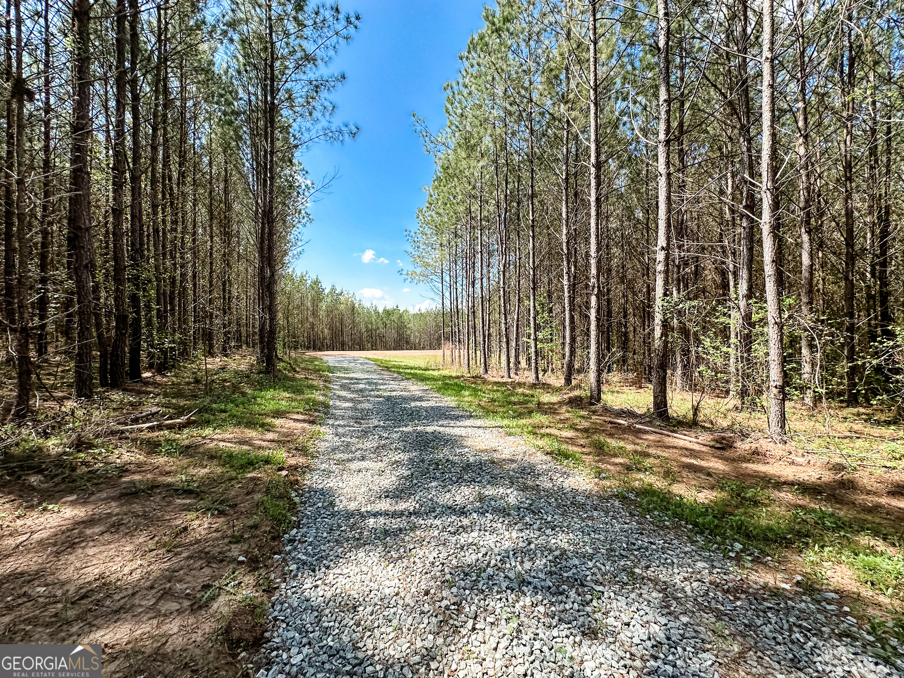 0 Jordan Road, Unit 17 79 ACRES Monticello, GA 31064 - Photo 11 of 14