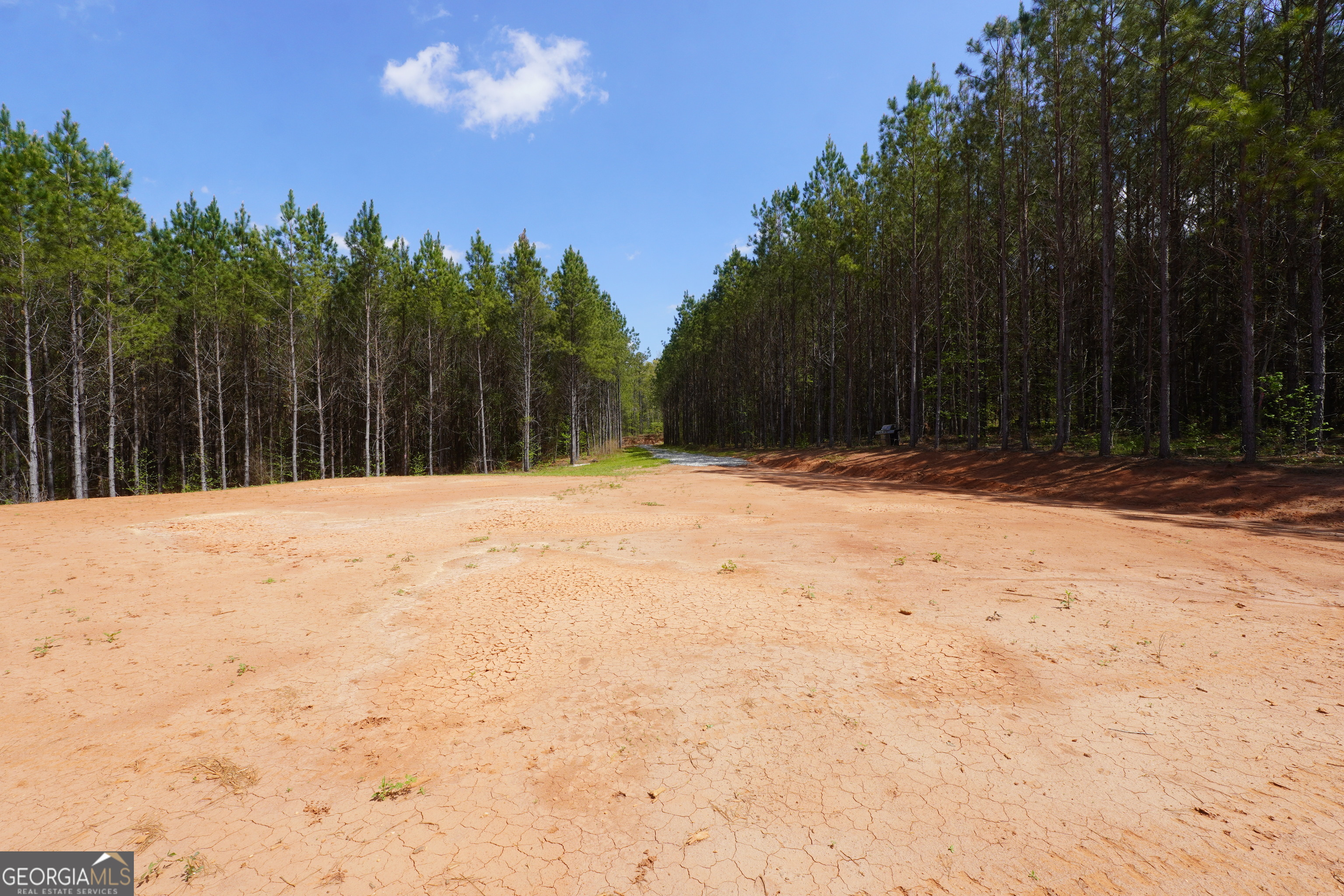 0 Jordan Road, Unit 17 79 ACRES Monticello, GA 31064 - Photo 13 of 14