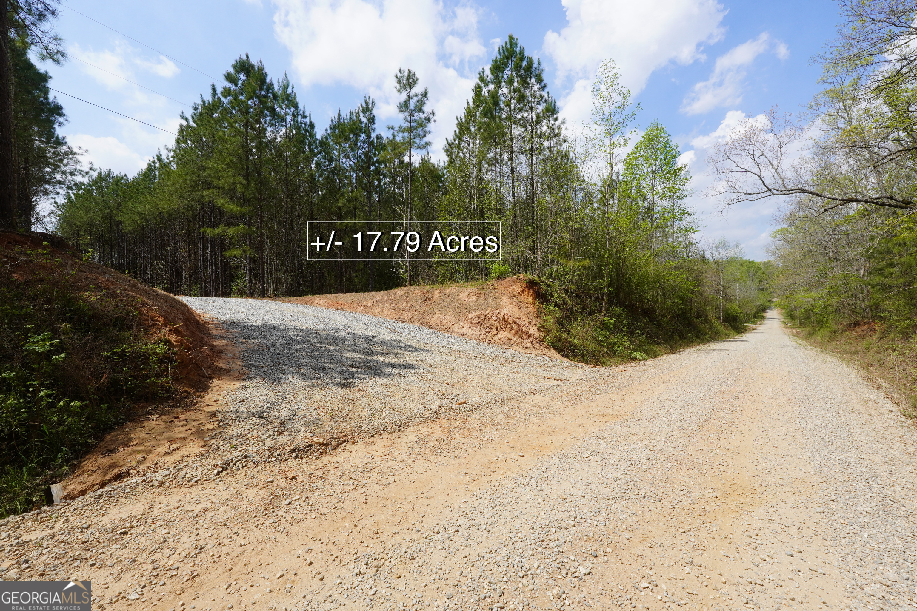0 Jordan Road, Unit 17 79 ACRES Monticello, GA 31064 - Photo 6 of 14