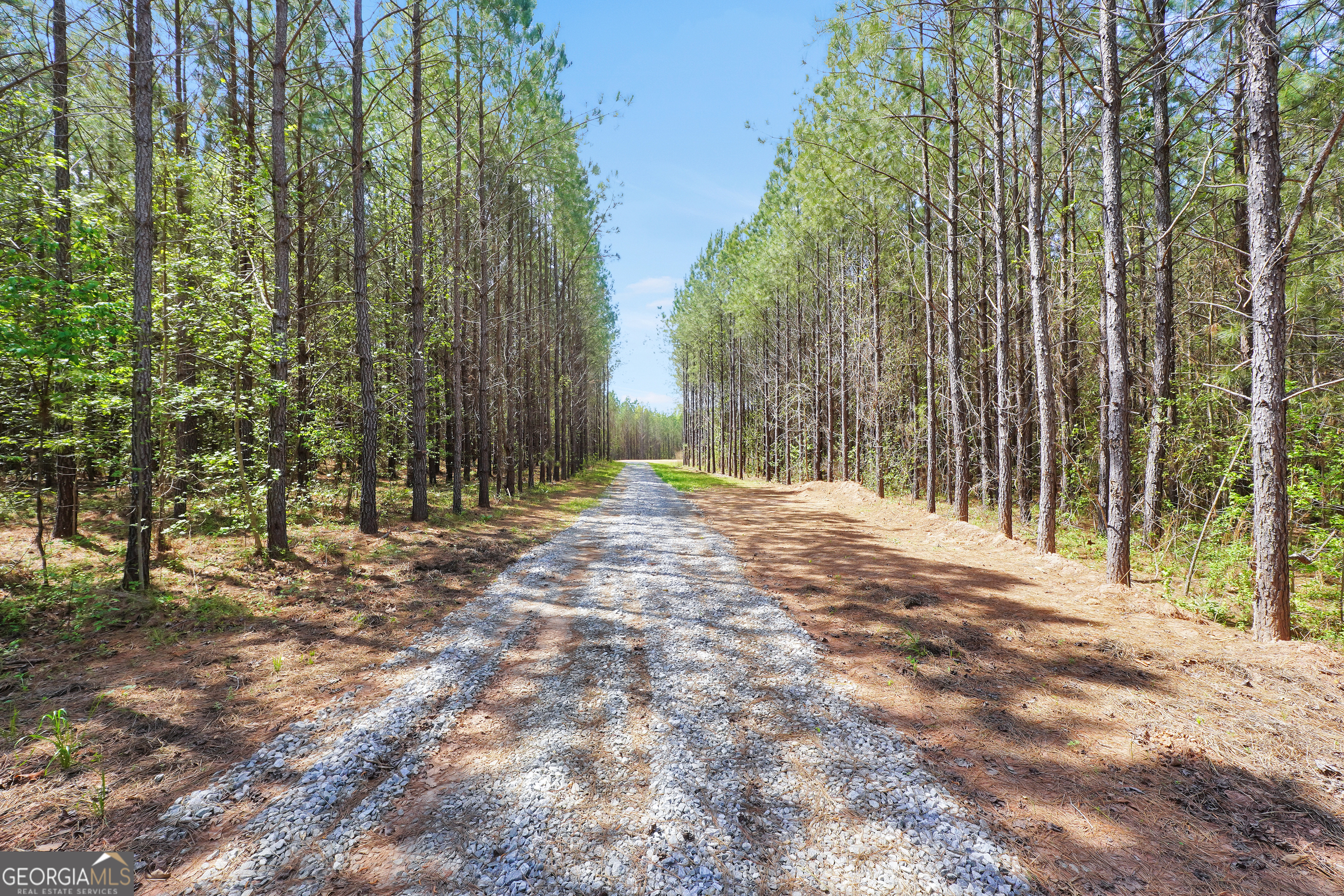 0 Jordan Road, Unit 17 79 ACRES Monticello, GA 31064 - Photo 7 of 14