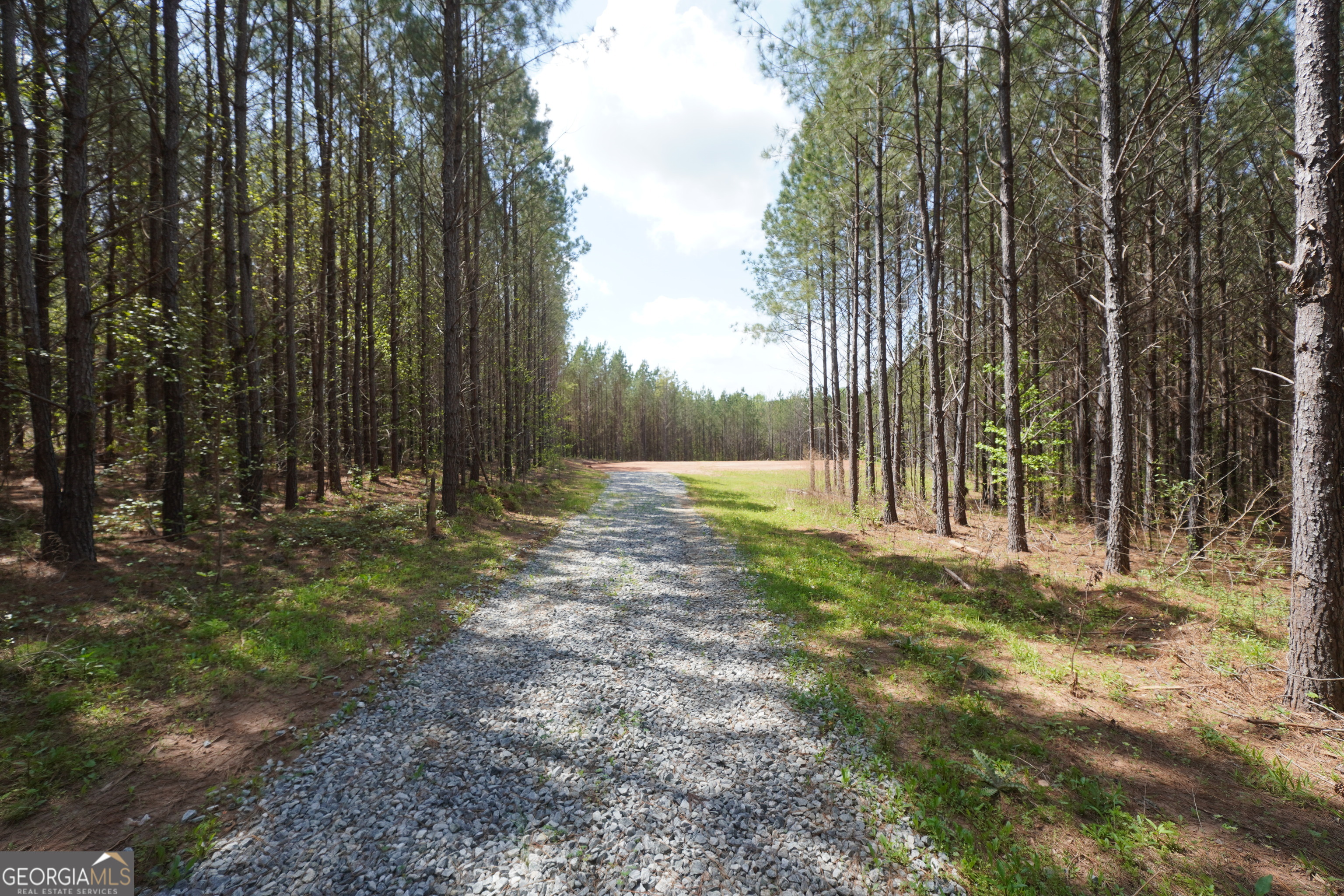 0 Jordan Road, Unit 17 79 ACRES Monticello, GA 31064 - Photo 8 of 14
