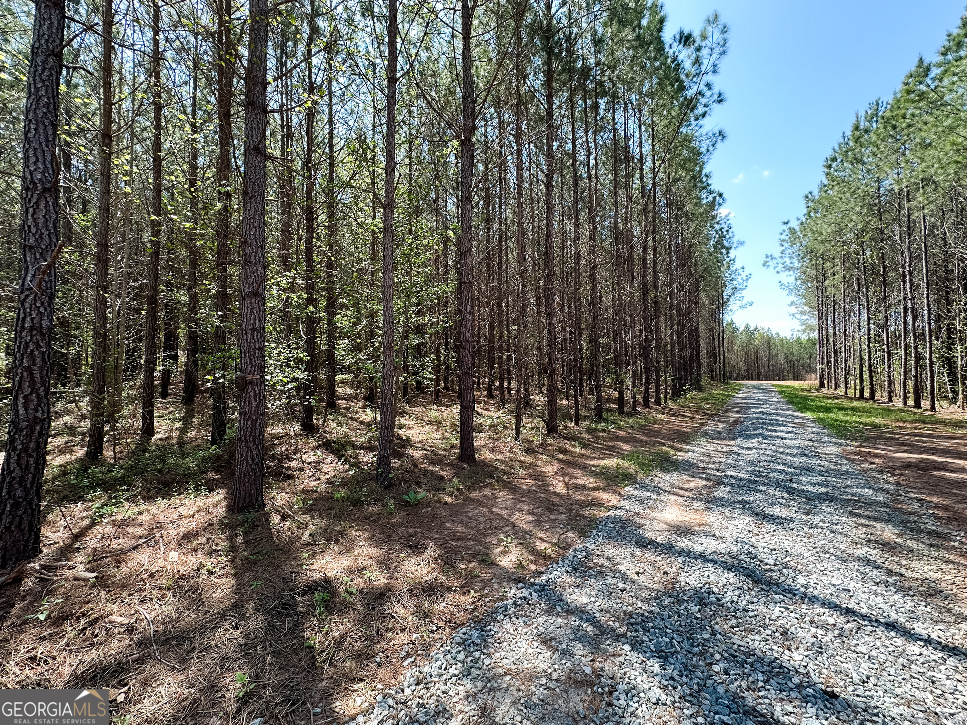 0 Jordan Road, Unit 17 79 ACRES Monticello, GA 31064 - Photo 9 of 14