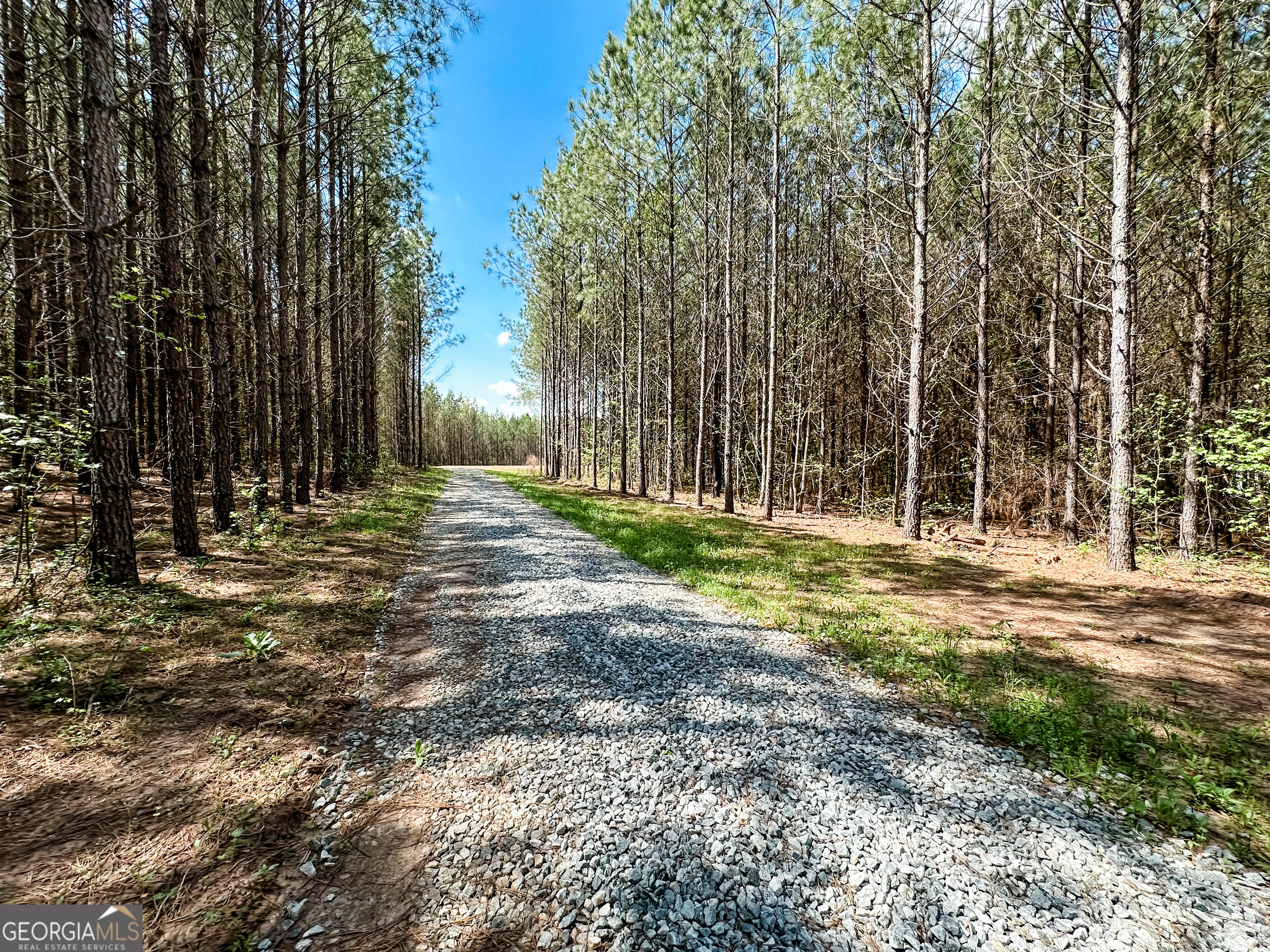 0 Jordan Road, Unit 17 79 ACRES Monticello, GA 31064 - Photo 10 of 14
