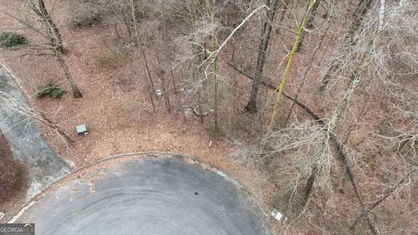 a view of a dry yard with a tree